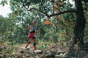 BIB: 
                            <button type="button" onclick="openModal(26110962)" class="btn btn-primary btn-sm float-right btn-popup" data-toggle="modal" data-target=".modal-high-quality">
                        <i class="fas fa-shopping-cart"></i> Add to Cart
                    </button>
                                            <button type="button" onclick="isThisMe(26110962, true)" class="btn btn-success btn-sm float-right btn-popup btn-isme hidden" data-toggle="tooltip" data-placement="bottom" title="นี่คือรูปของคุณใช่ไหม คลิกที่นี่เพื่อเอาเข้าอัลบั้ม">
                        <i class="fas fa-plus"></i> Add to album
                    </button>
                    <button type="button" onclick="isThisMe(26110962, false)" class="btn btn-warning btn-sm float-right btn-popup btn-isnotme hidden">
                        <i class="fas fa-ban"></i> Remove from album
                    </button>